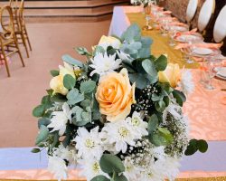 WhatsApp Image 2026-04-07 at 07.43.53 (1)